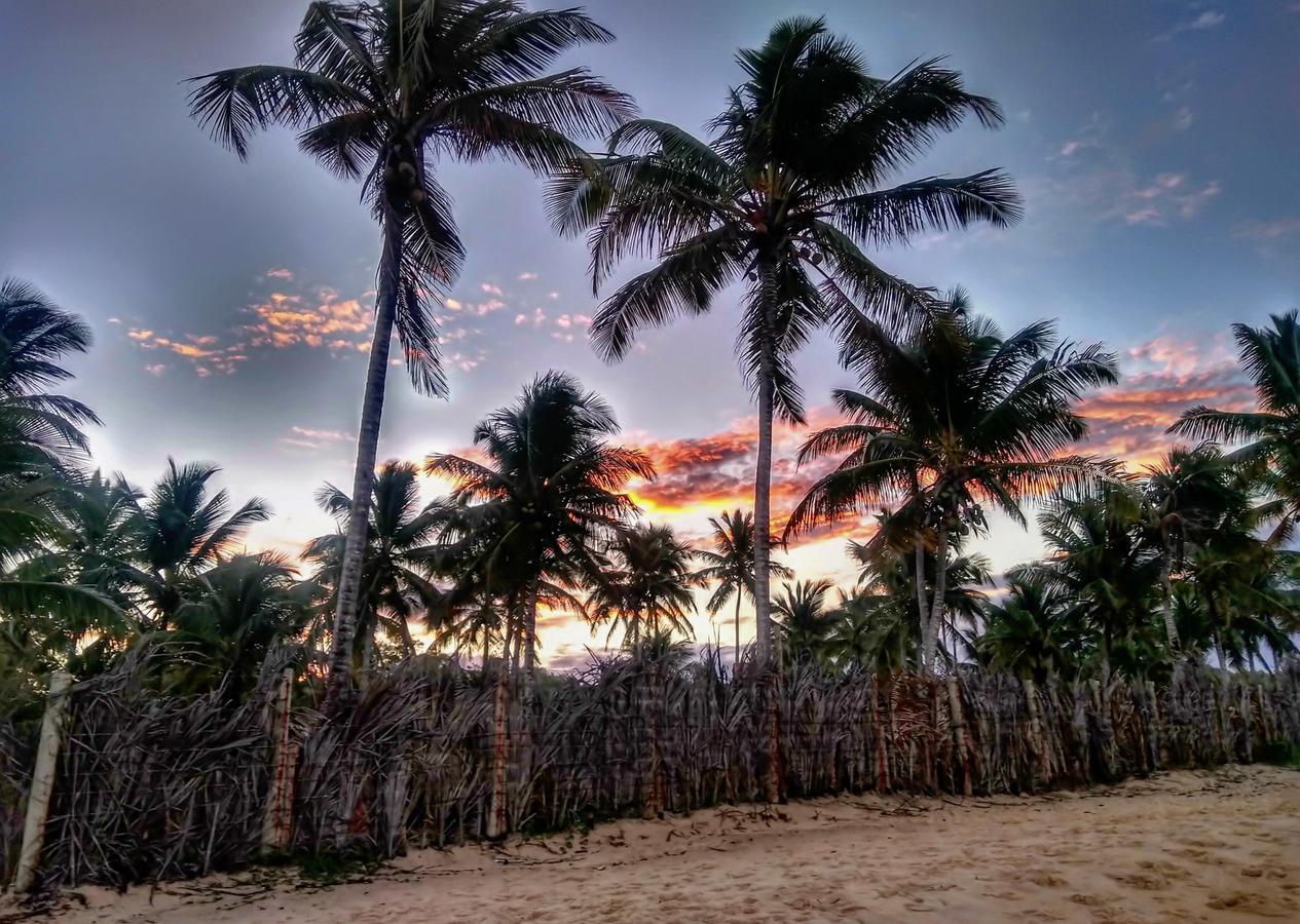 Pousada Jardim Das Margaridas Trancoso Exterior foto